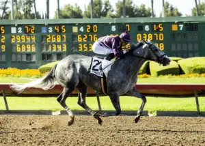 Horse racing: Sweet Azteca chases Los Alamitos 3-peat