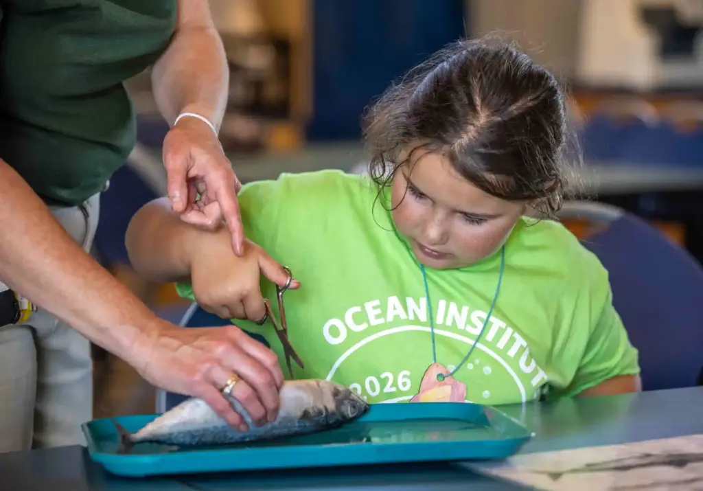 Megan Morrow, left, an Ocean Institute summer camp instructor, helps...