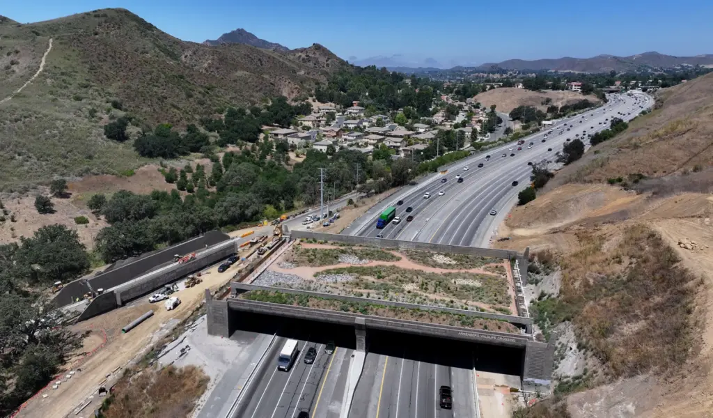 Work continues at the Wallis Annenberg Wildlife Crossing over the...