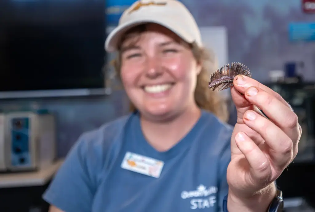 Laura Sanborn, an Ocean Institute summer camp instructor, holds up...