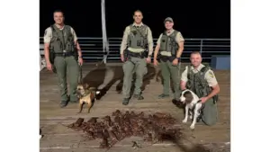 Dogs assist in arrest of 6 at Santa Monica Pier on suspicion of poaching lobsters