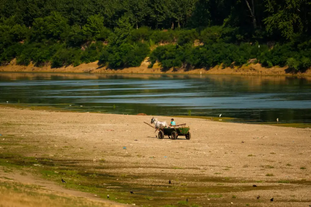 A man rides his horse-pulled cart on a bank of sand on the Danube River.
