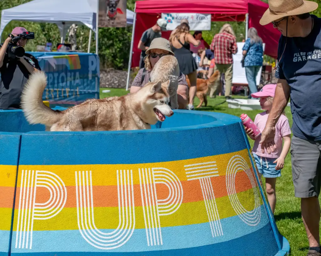 People and dogs play during the 2026 Puptopia Festival at...