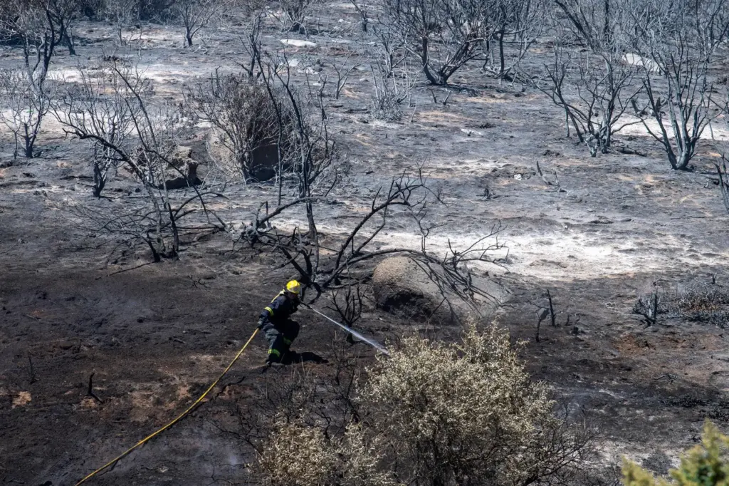 A firefighter battles a wildfire on the slopes above Simon's Town, South Africa.
