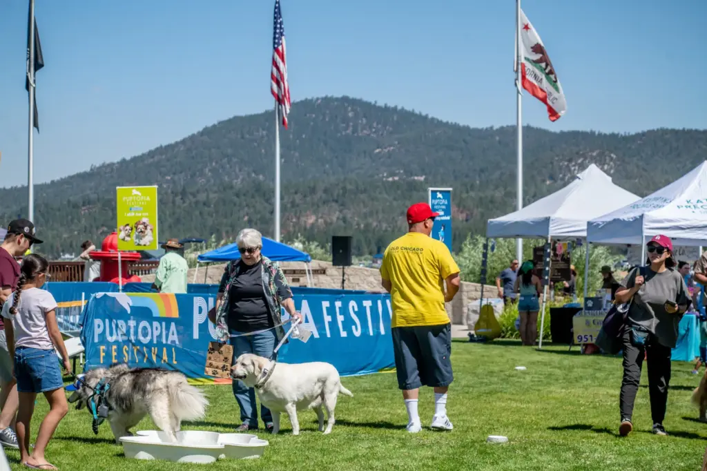 People and dogs play at the 2026 Puptopia Festival at...
