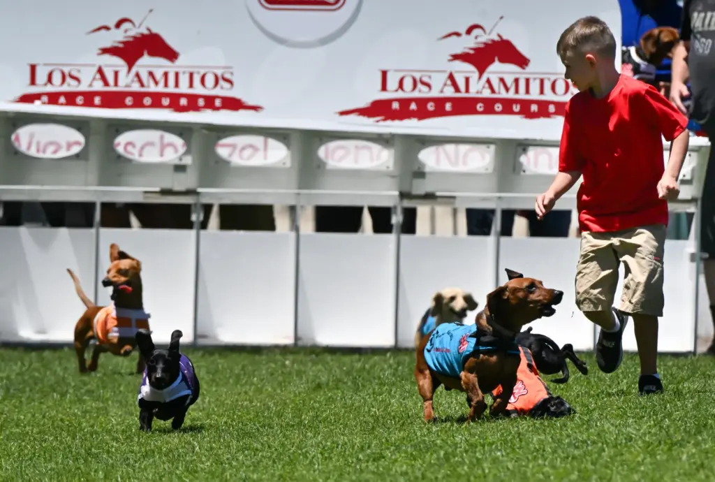 Mason Michaud, of Orange, runs along side his dog, Donut,...