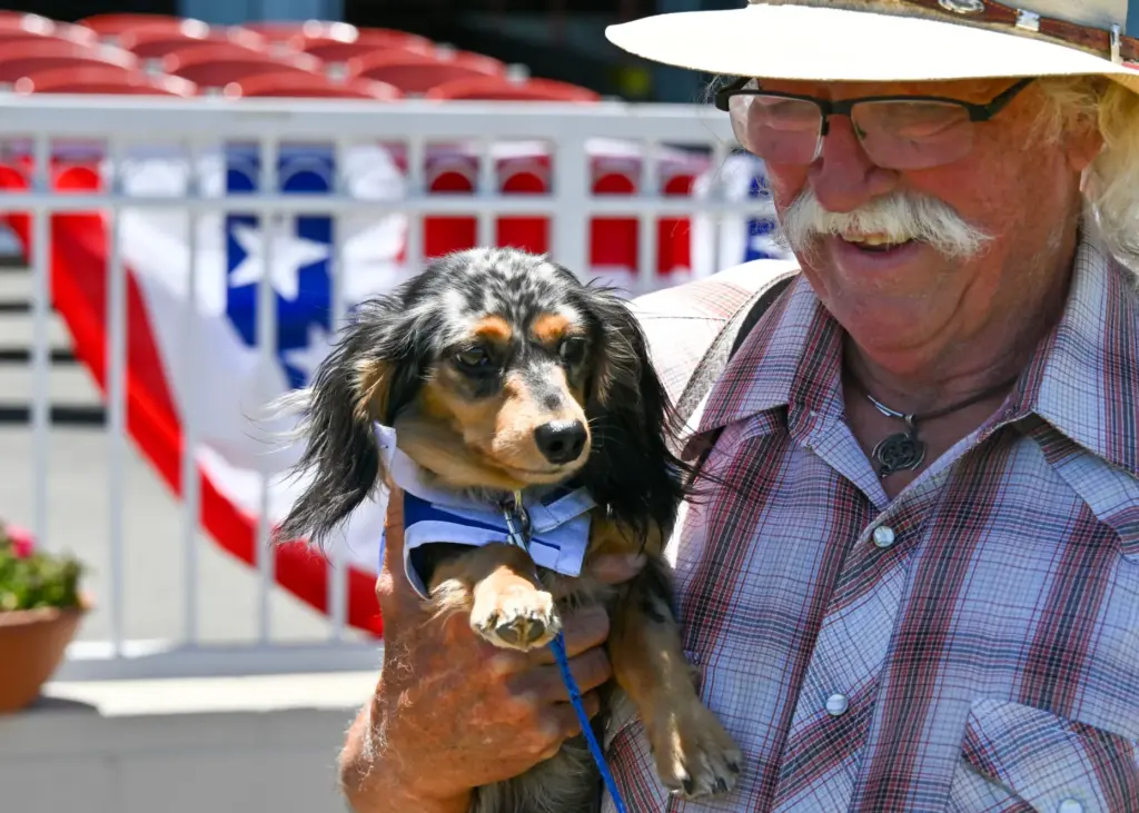 Jim Pickerell, of Tehachapi, holds on to Treasure, during practice...