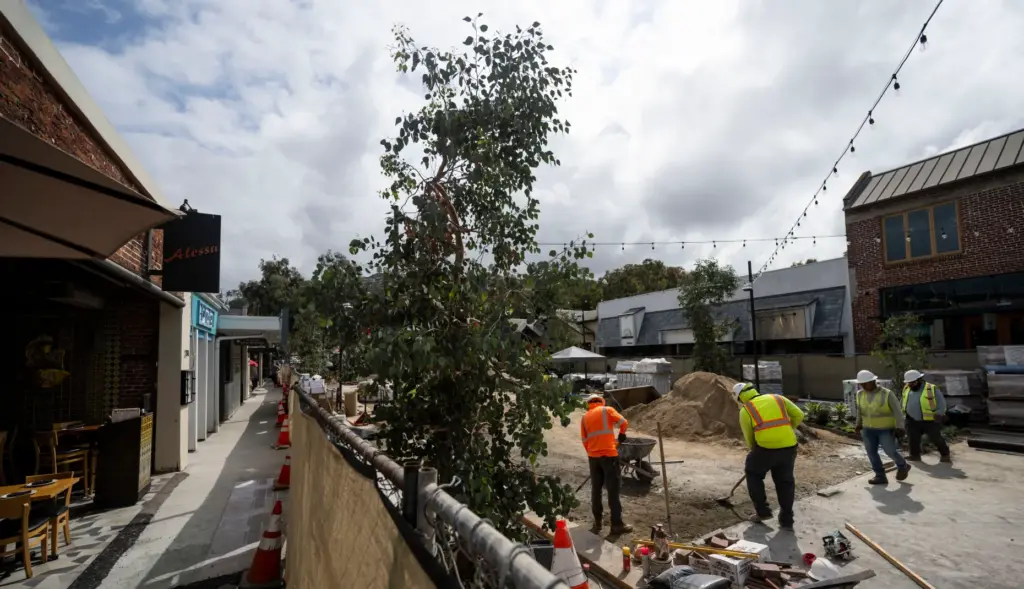 Work continues on the promenade along Forest Ave. in Laguna...