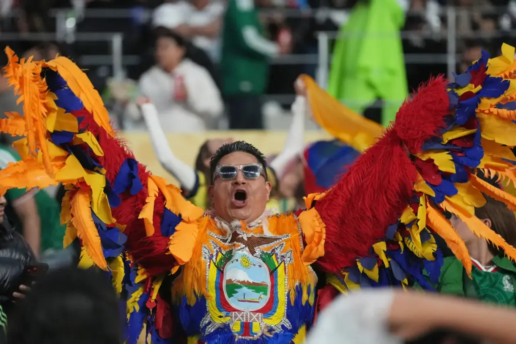 A fan reacts before the World Cup round of 32...