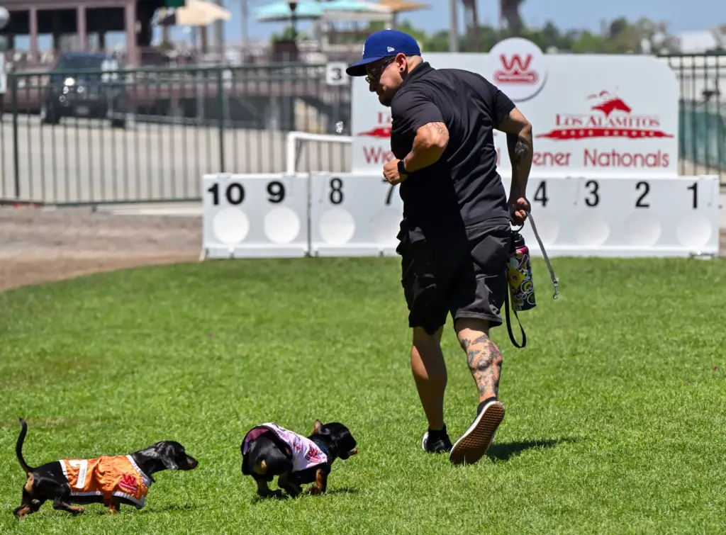 Ray Valdez, from Azusa, gets his dog Cheech warmed up...