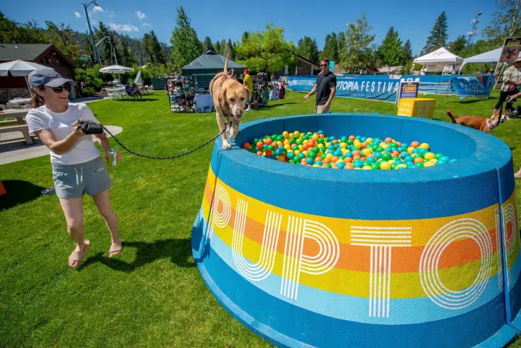 People and dogs play during the 2026 Puptopia Festival at...