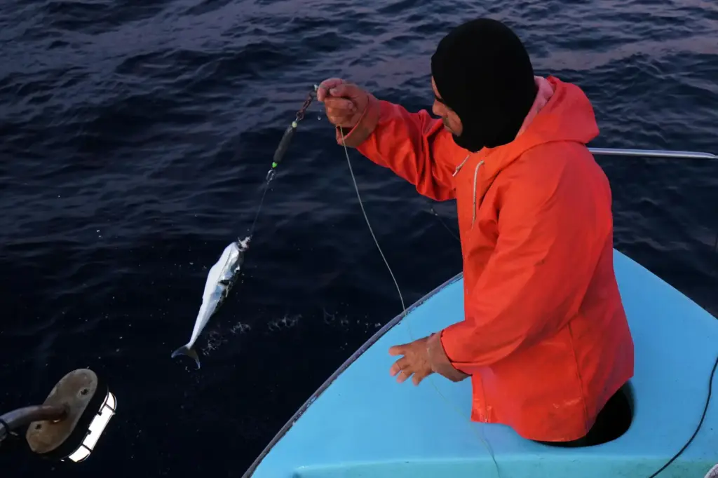 Fisherman Photis Gaitanos catches a toadfish while fishing from his...
