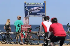 Shark attack on Alabama teen inspires the start of a national alert system