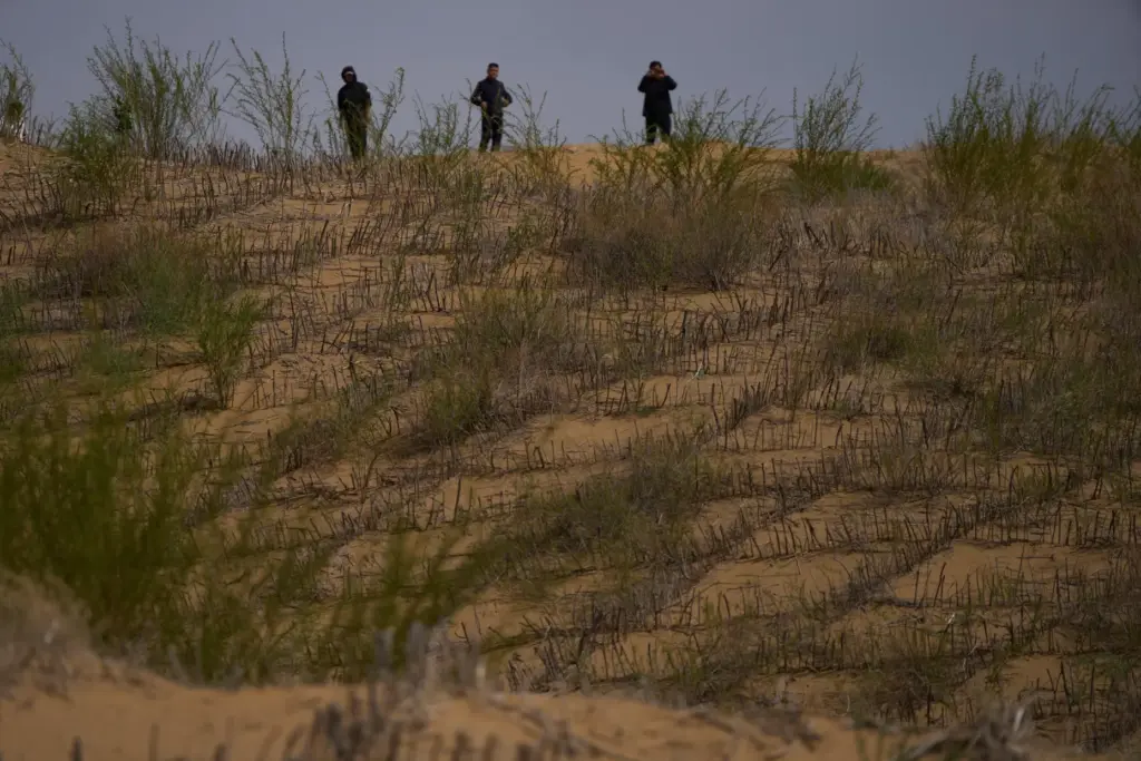 Men stand on top of a sand dune covered by...