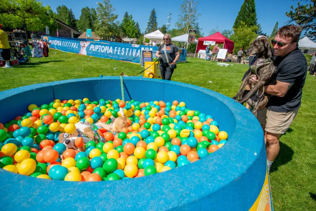 People and dogs play during the 2026 Puptopia Festival at...