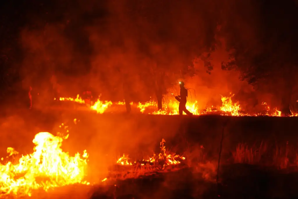 Firefighters use controlled burning to halt a wildfire that continues...