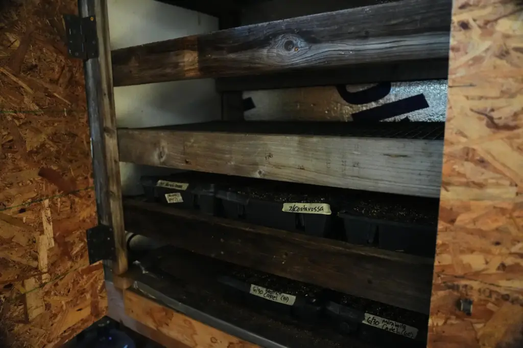 Trays of seedlings sit inside a cabinet to keep cool.