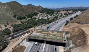 Southern California becoming a hub for wildlife crossings