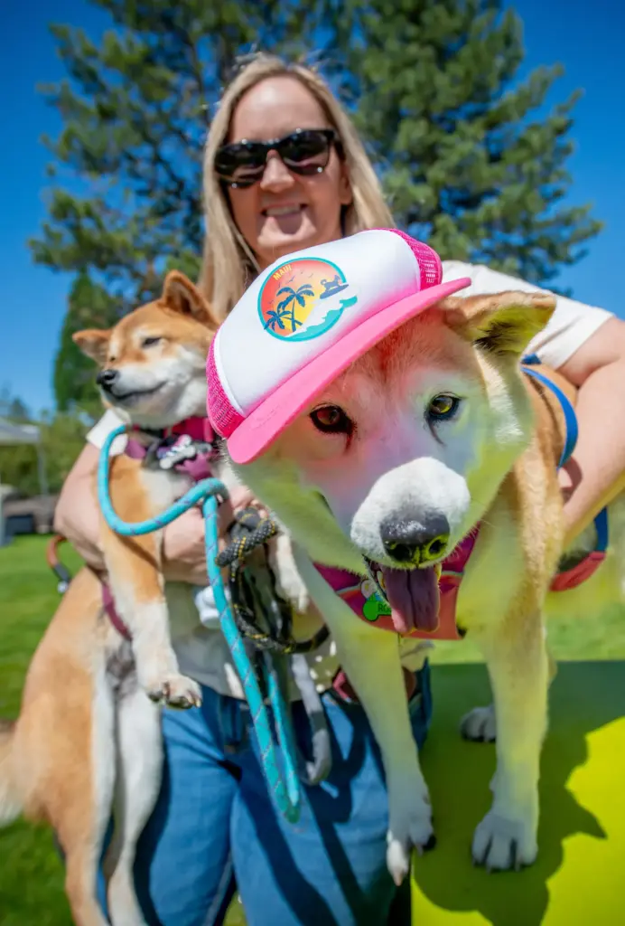 Daveana Meaux of Las Vegas poses with her Shiba Inu...