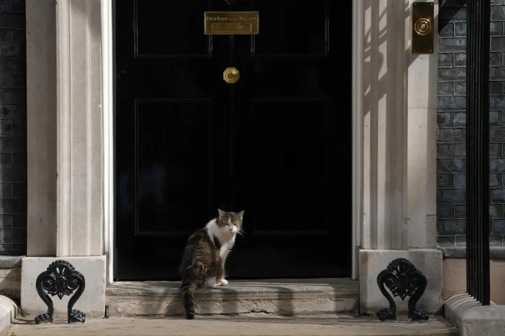 Larry the cat, Chief Mouser to the Cabinet Office, sits on 10 Downing Street's doorstep.