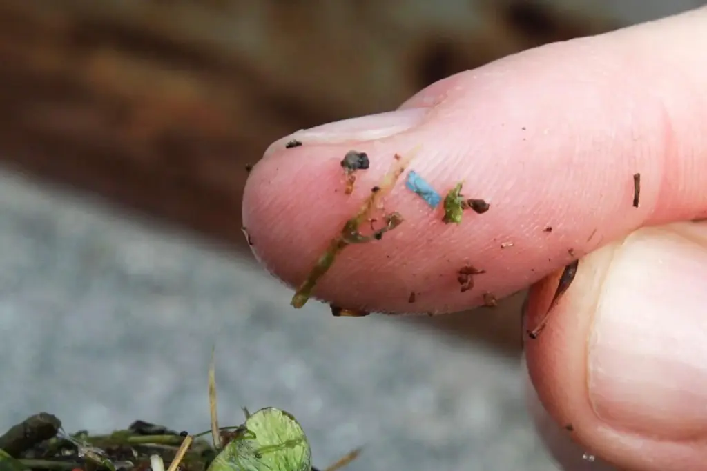 A blue rectangular piece of microplastic sits on the finger of a researcher.