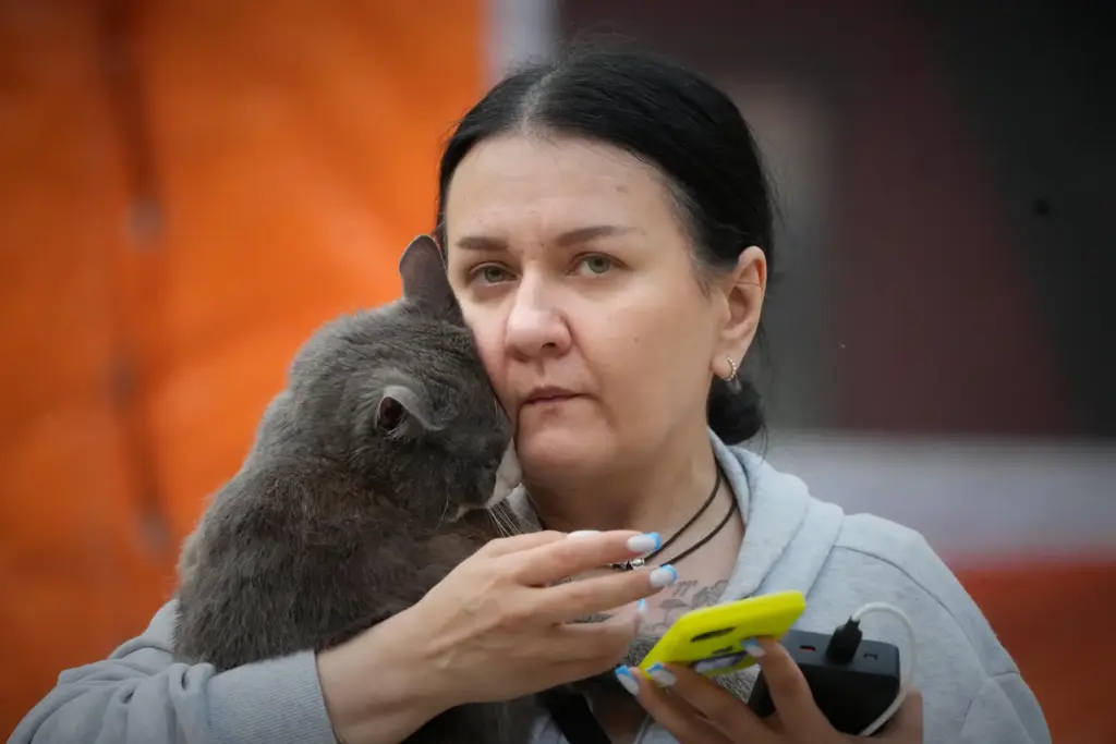 Frightened by explosions, a cat cuddles up to its owner in Kyiv, Ukraine.