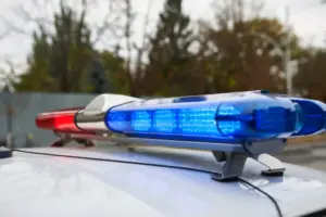 Woman accused of animal cruelty in Newport Beach after pups with parasites, covered in feces, found in hot car