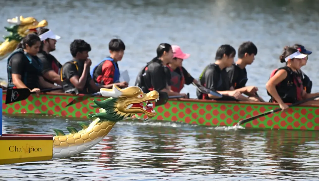 Teams race in the Long Beach Dragon Boat Festival at...