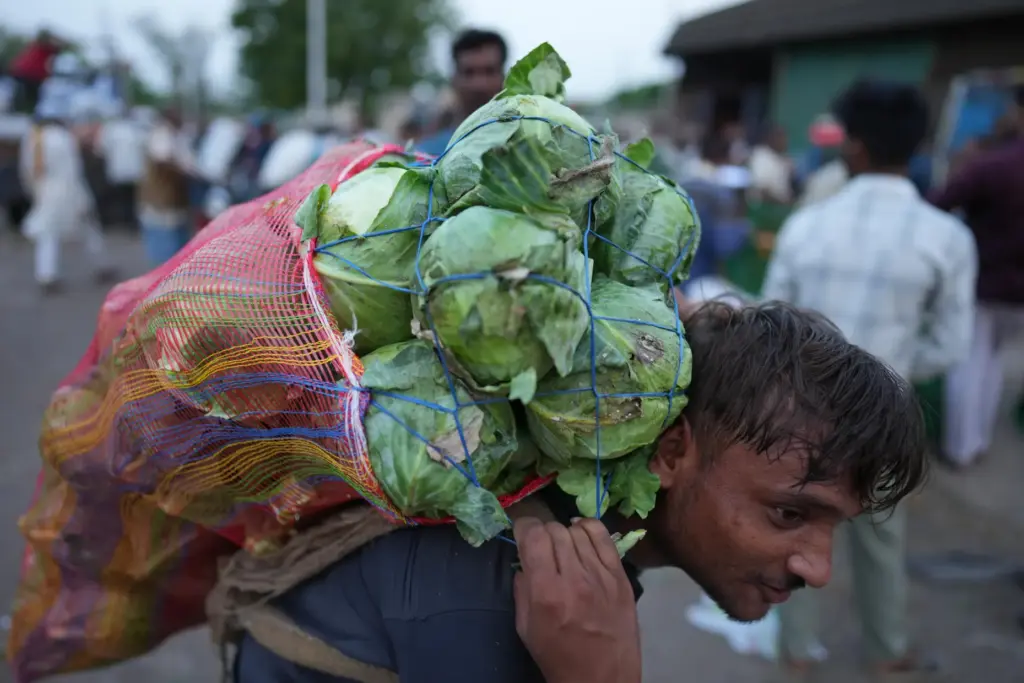 A laborer carries vegetables at a market in the early...