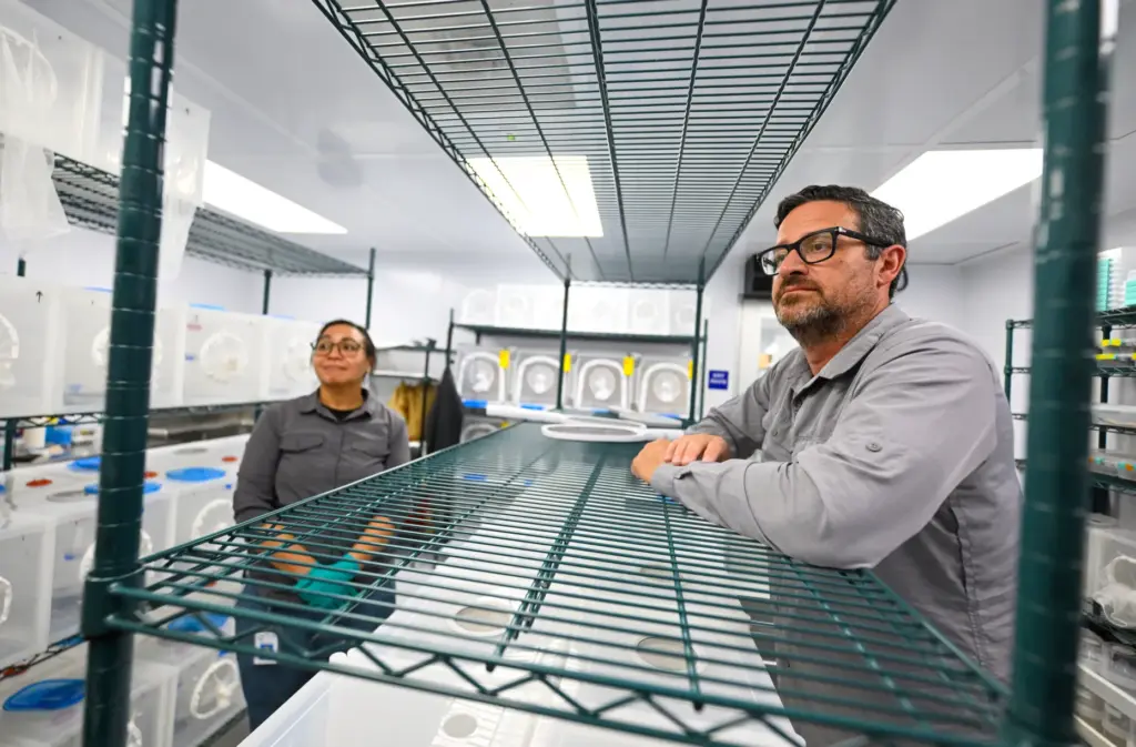 Vector Ecologists Sokanary Sun and Tim Morgan in the adult...