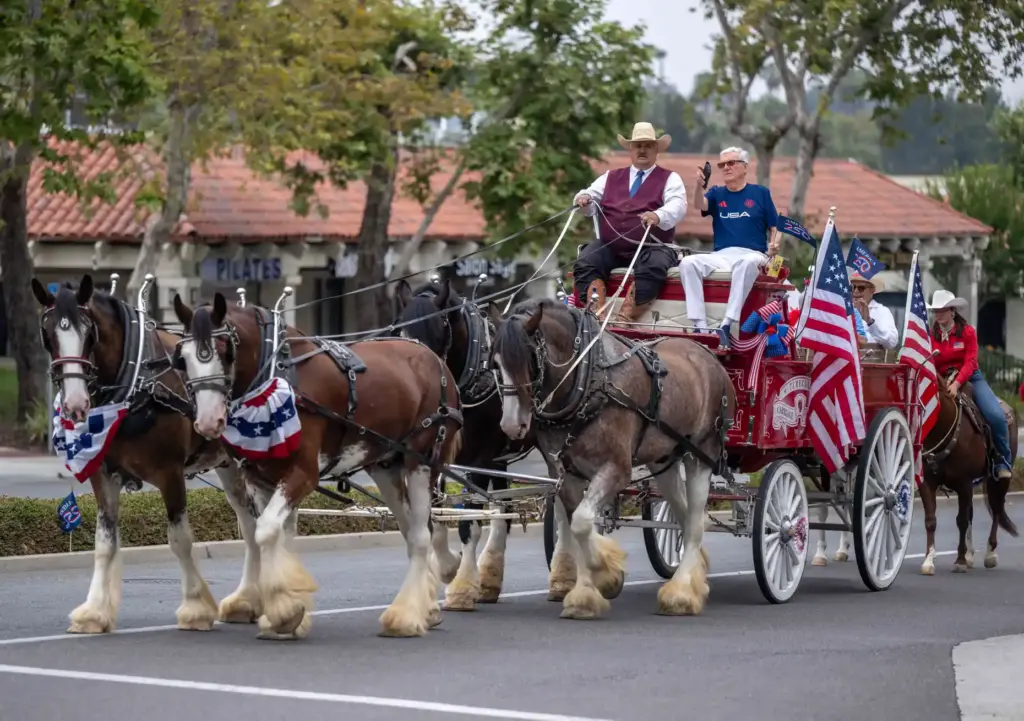 A Temecula Carriage Company horse-drawn carriage makes its way along...