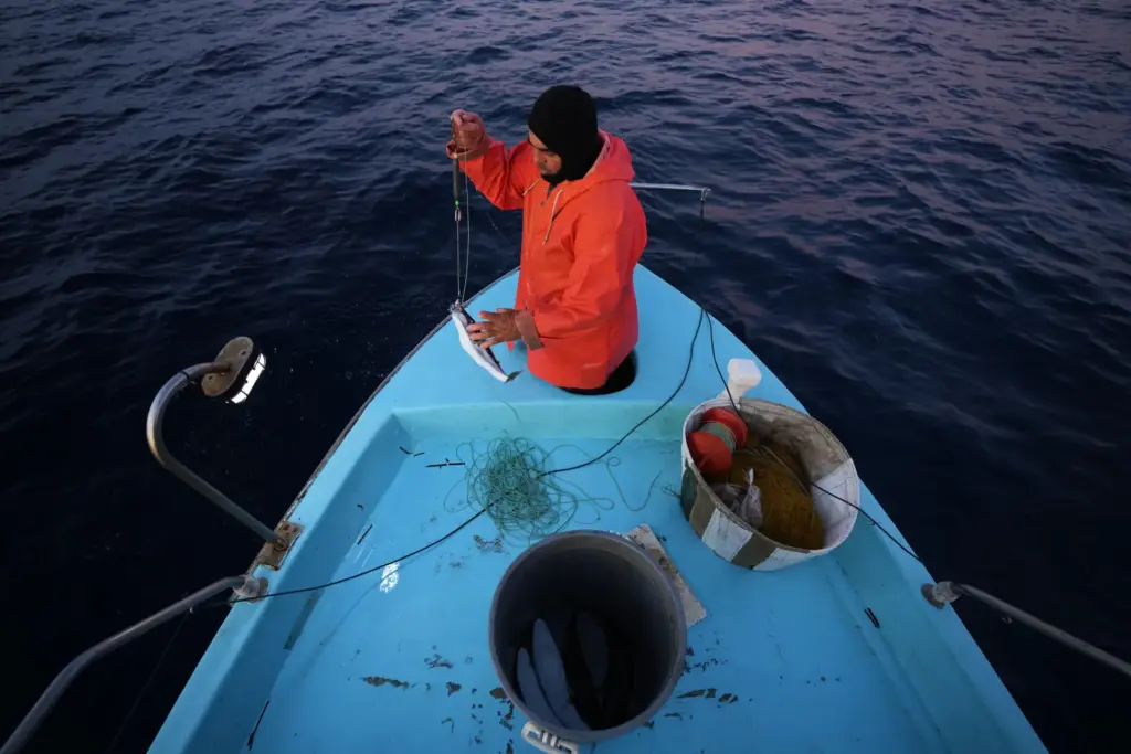 Fisherman Photis Gaitanos catches a toadfish while fishing from his...