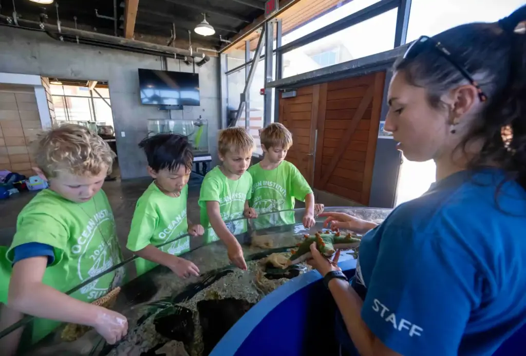 Ocean Institute summer camp teacher Hanna Lock lets campers touch...