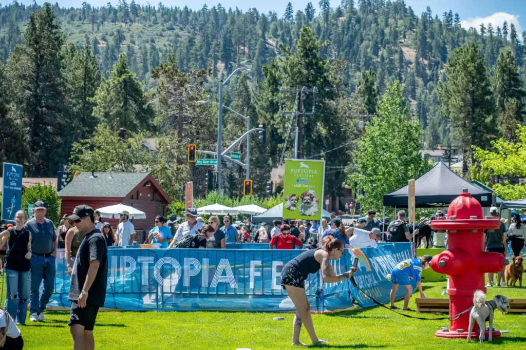 People and dogs play during the 2026 Puptopia Festival at...