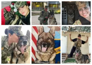Paws of War works to reunite military personnel with the animals they love