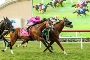 Del Mar notebook: Gold Phoenix wins Eddie Read Stakes; Cornucopian euthanized
