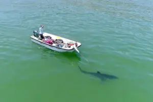 Troubled waters for Cal State Long Beach’s Shark Lab as funding dries up