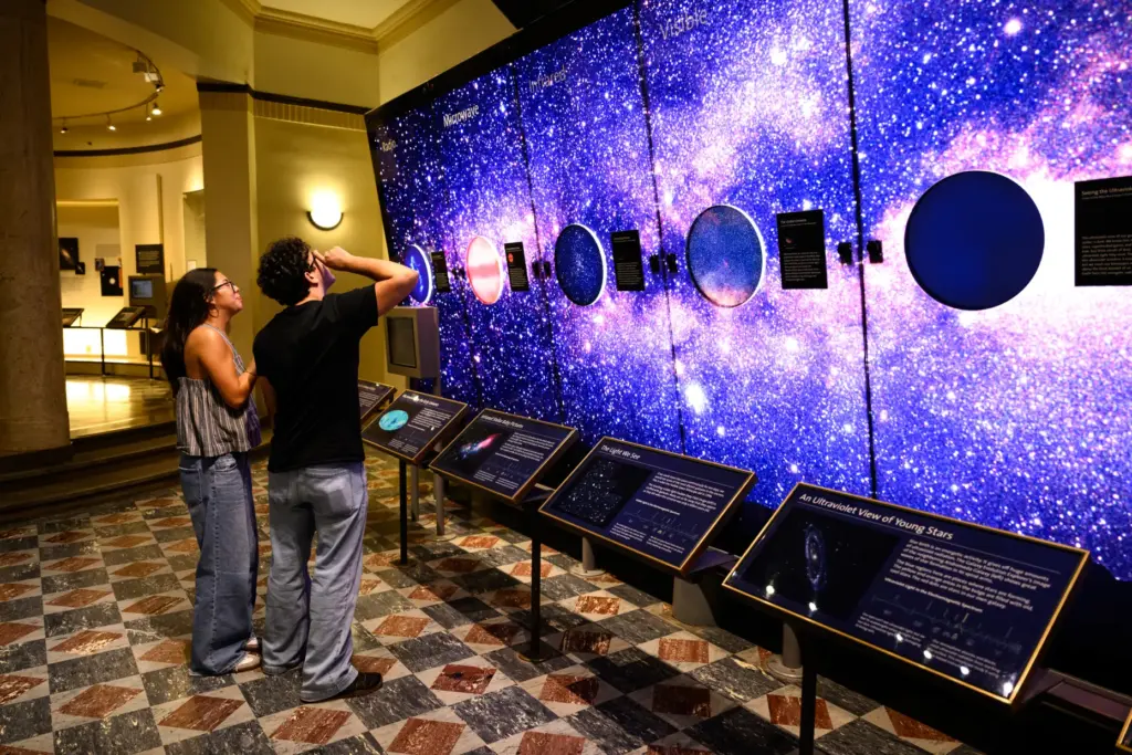 Griffith Observatory held “ABOVE â Night Gallery: The Stars of...