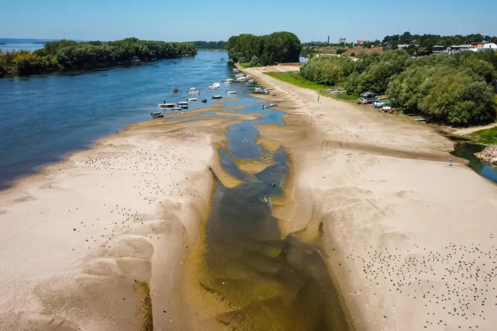 A usually submerged patch of land rises from the surface of the Danube River.