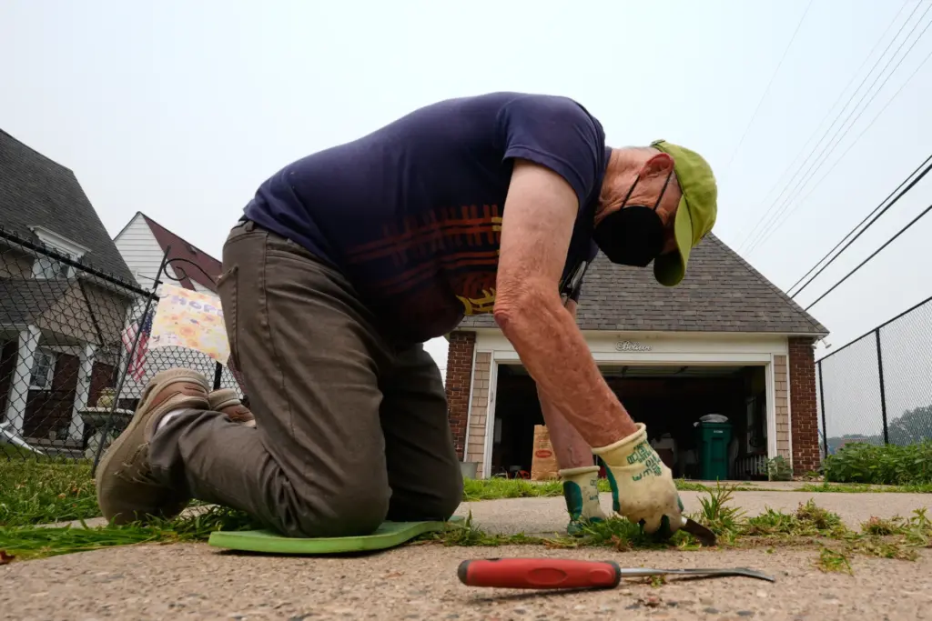 Michael Lesperance weeds his driveway wearing a mask.