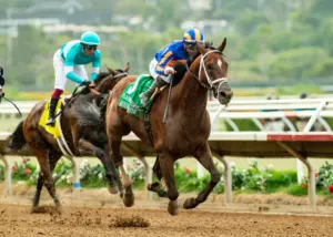 Journalism retired to stud after suffering injury at Del Mar; horse ‘breathed a different air’