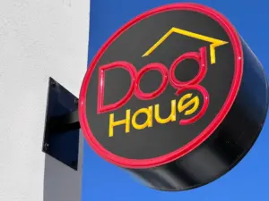 How to get a free hot dog this month at higher-end chain Dog Haus