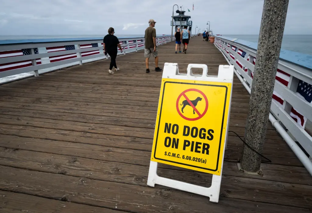 A sign lets visitors know that no dogs are allowed...