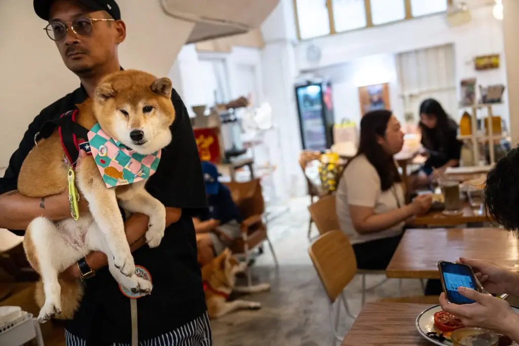 A customer holds his dog inside the Wan Land Cafe...