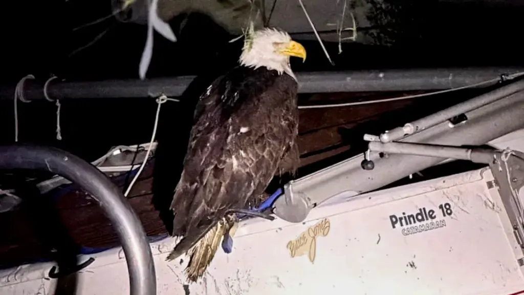 A screenshot shows Jackie, part of Friends of Big Bear...