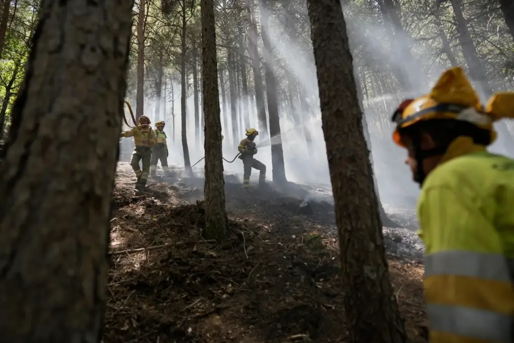 FILE – Forest rangers work in a wildfire-scorched area near...