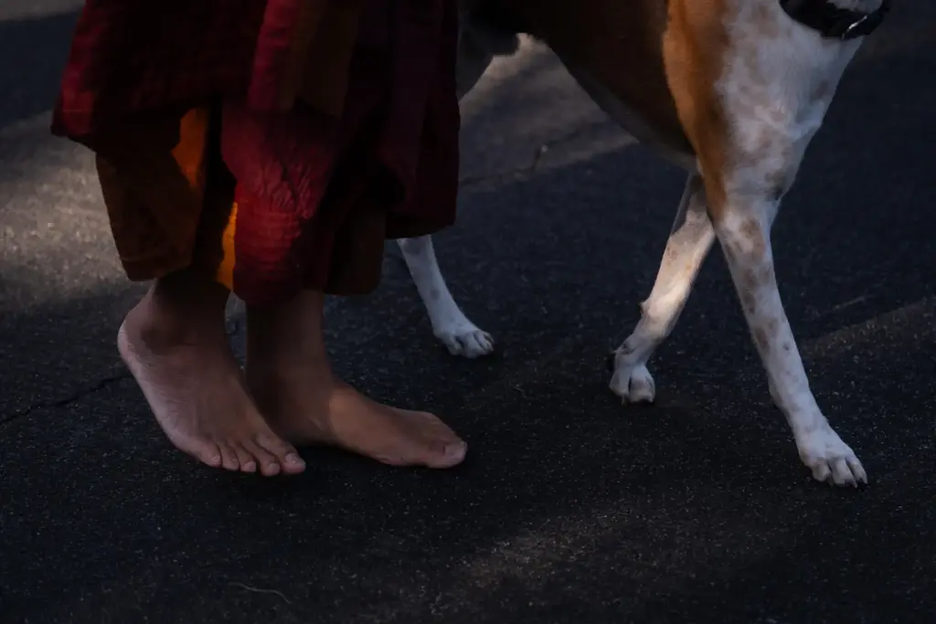 Bhikkhu Pannakara, a Buddhist monk who led a Walk for...