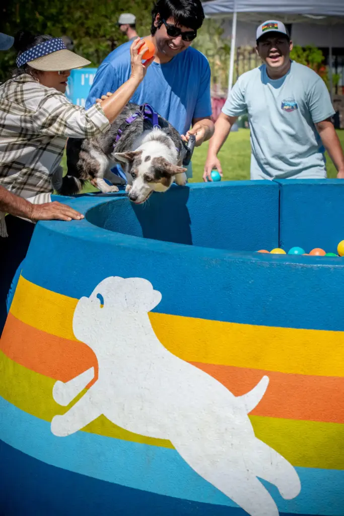 People and dogs play at the 2026 Puptopia Festival at...