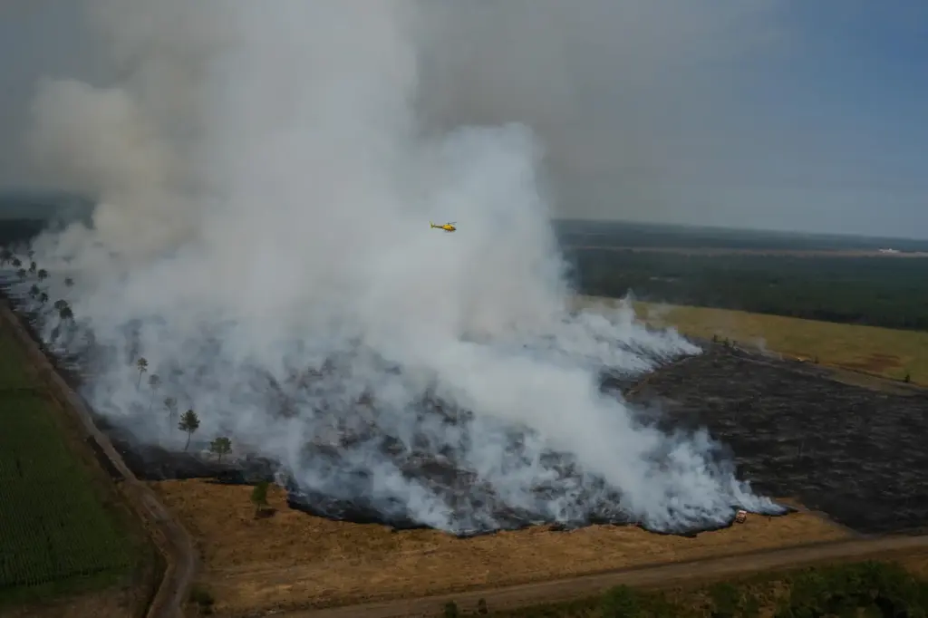 A wildfire burns near near Ares, France.