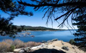 Big Bear bald eagles’ habitat saved; $10 million goal to buy land has been met
